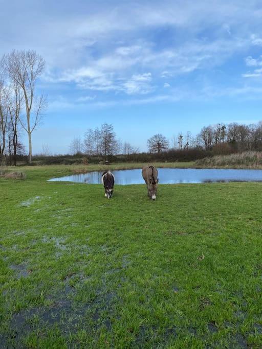 Villenouan Domaine Et Gites Lailly-en-Val Exteriör bild