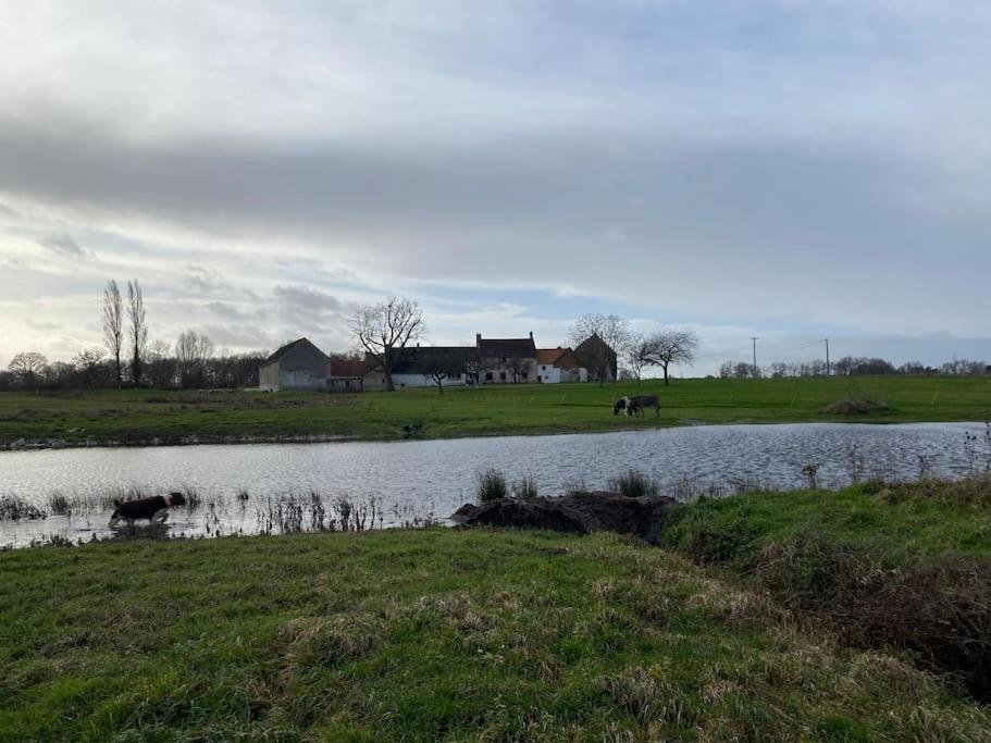 Villenouan Domaine Et Gites Lailly-en-Val Exteriör bild